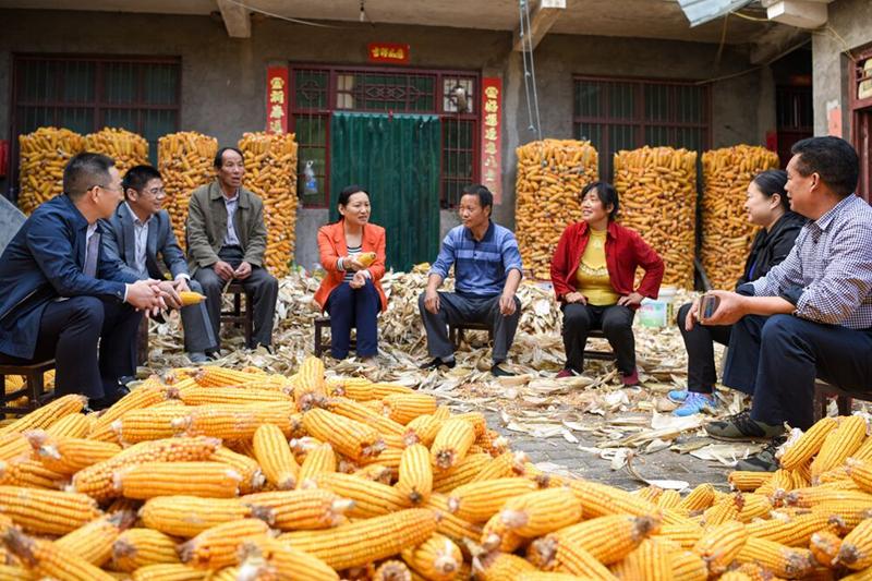 致敬扶贫人——献给脱贫攻坚战线的“新愚公”