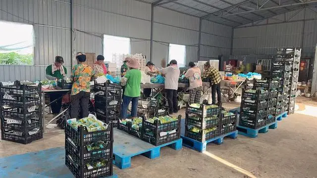 这盛世如您所愿⑥丨朱家岗村：昔日血战之地 今天幸福家园