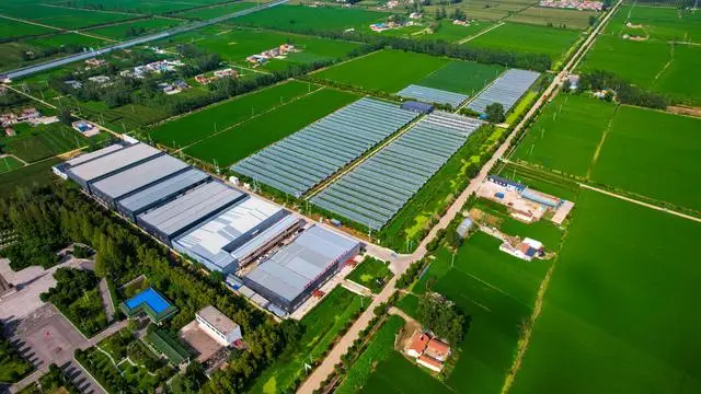 这盛世如您所愿⑥丨朱家岗村：昔日血战之地 今天幸福家园