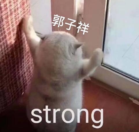 终结375天冠军荒！不玩蛇的120究竟有多可怕？