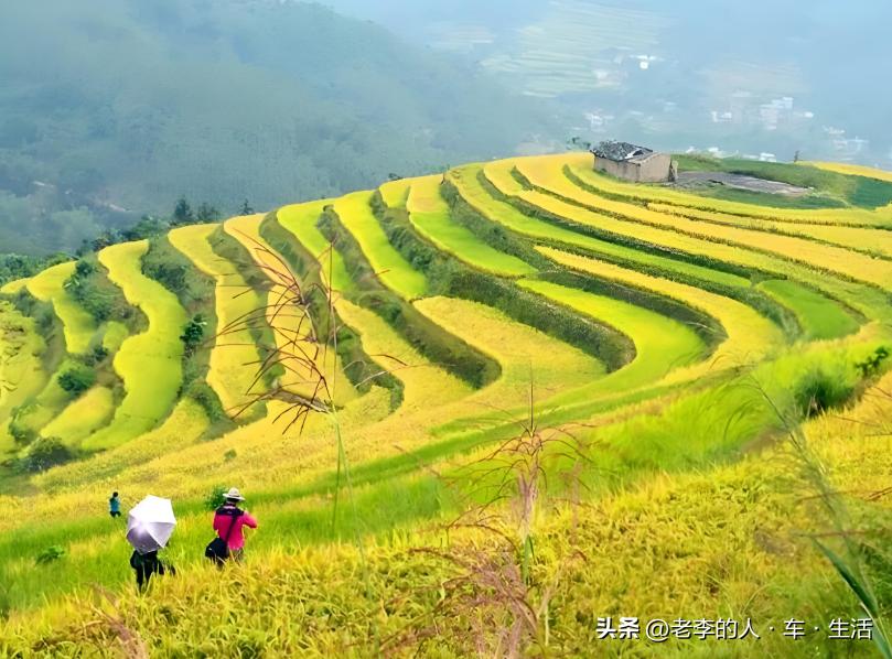 认识中国每一个县——第131站：广西·玉林·博白县