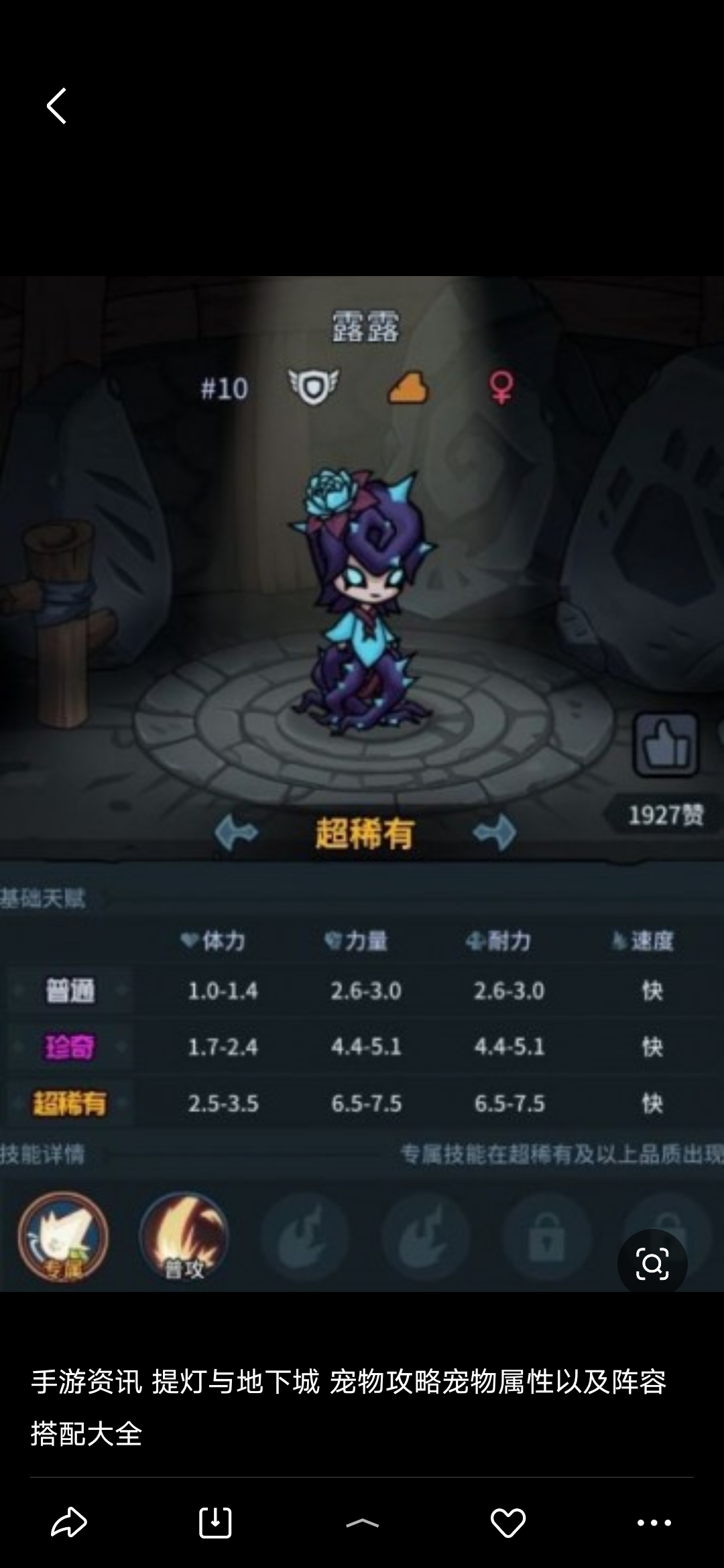 提灯与地下城眩晕法杖宠物选择攻略 眩晕法杖宠物搭配介绍