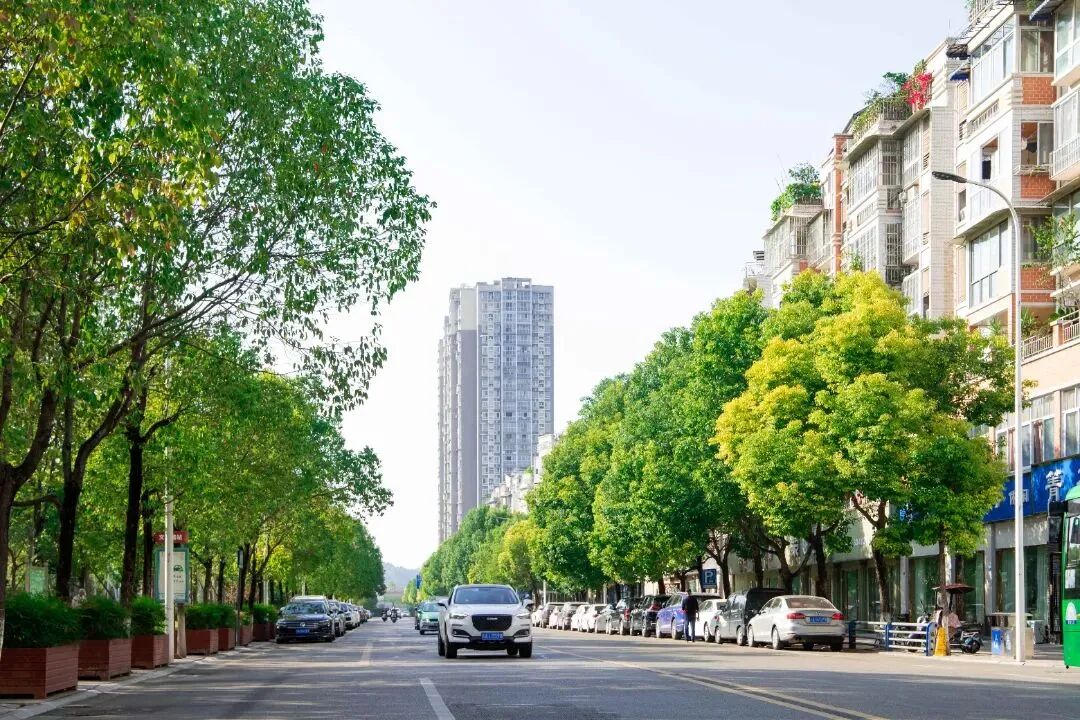 文明至简 阳光致远