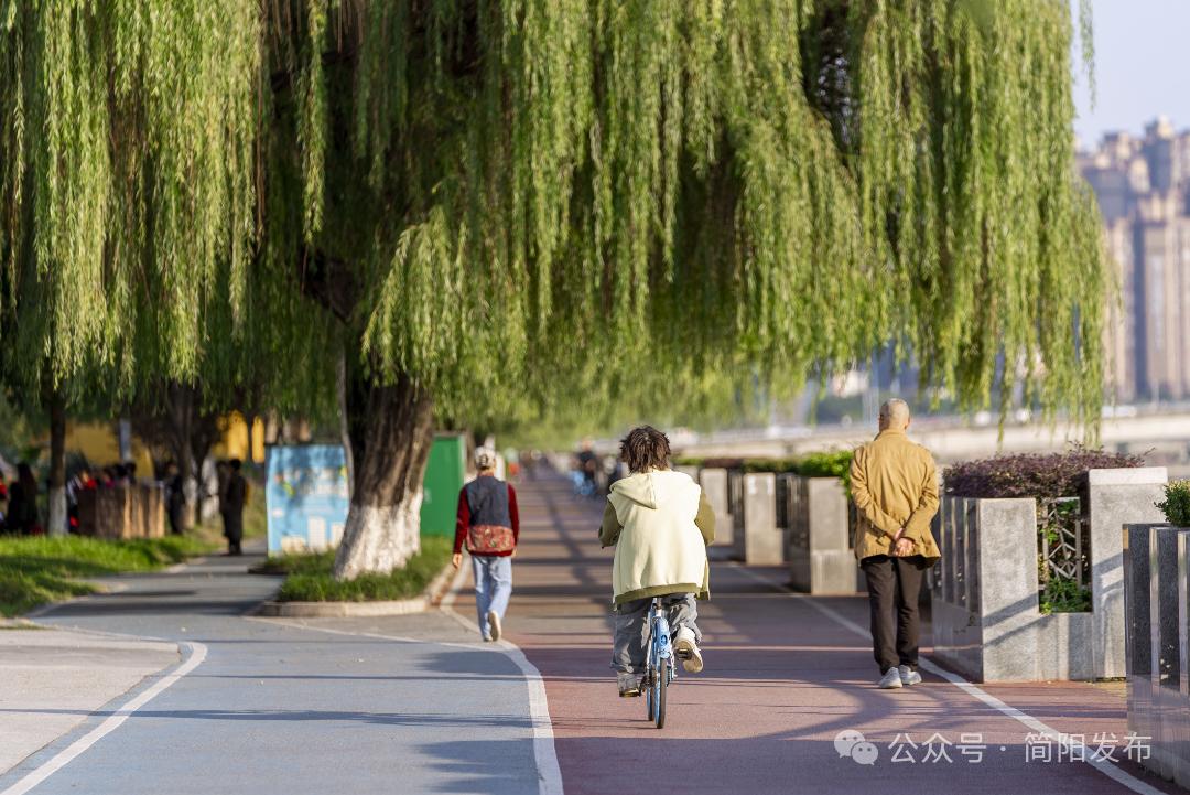文明至简 阳光致远