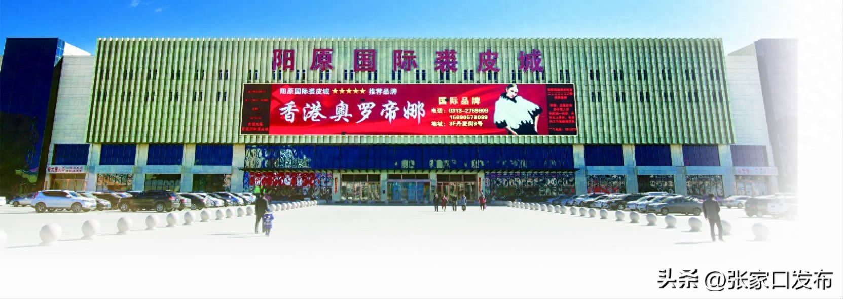 看阳原毛皮产业如何实现高质量发展