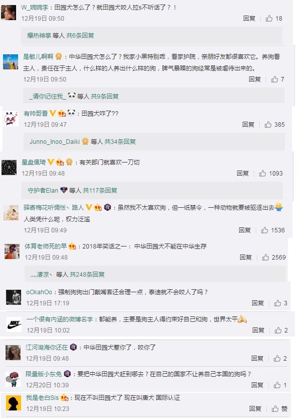 临沂禁养中华田园犬等烈性犬惹争议 畜牧局这样回应