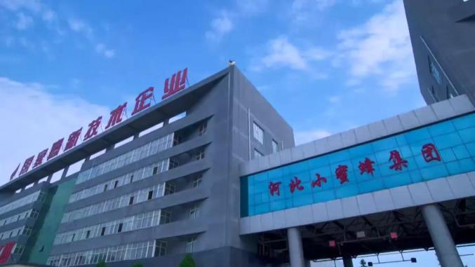 找工作，看这里！正定直播公益带岗！圆你“薪”愿