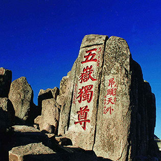 大咖齐聚，闪耀泰城！山东广播电视台主持人与您相约泰安天平湖壹号