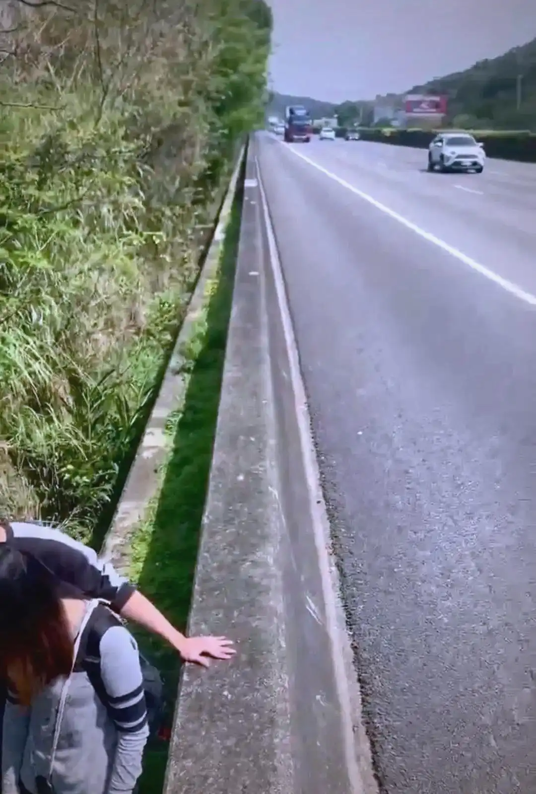 台湾新竹：被拯救的狗狗开启新生活
