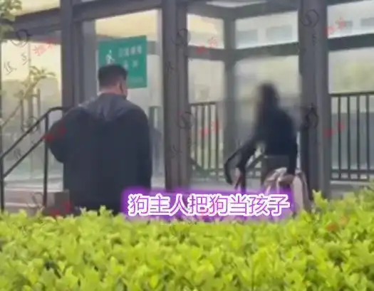 河北：家长摔死扑倒孩子的宠物狗，狗主人痛哭，网友：干得漂亮