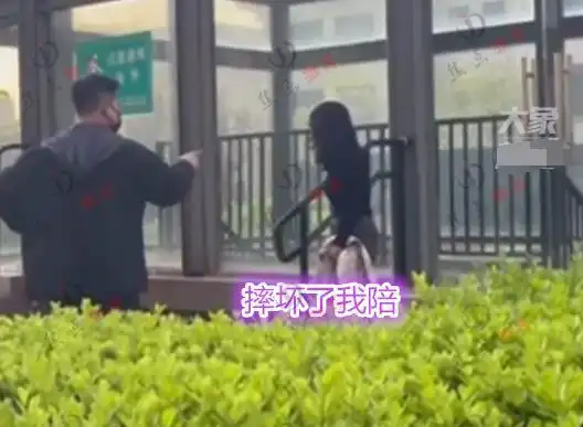 河北：家长摔死扑倒孩子的宠物狗，狗主人痛哭，网友：干得漂亮