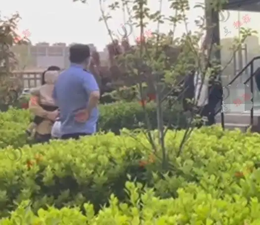 河北：家长摔死扑倒孩子的宠物狗，狗主人痛哭，网友：干得漂亮
