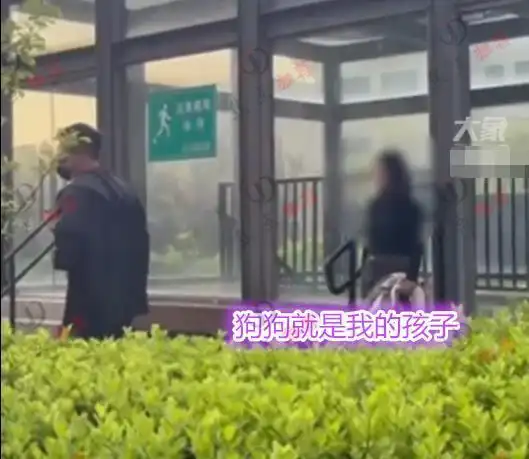 河北：家长摔死扑倒孩子的宠物狗，狗主人痛哭，网友：干得漂亮