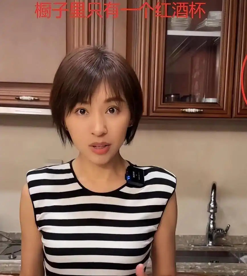 电视主持欧阳夏丹疑分手，和母亲在一起目前单身，神秘前夫少有新闻