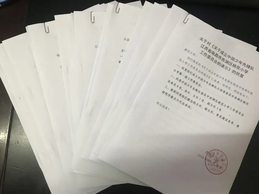 服务发展大局 谱写青春篇章——共青团西湖区委2020年工作总结