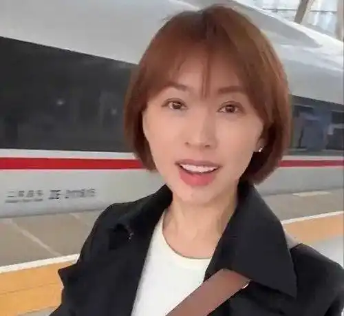 46 岁的欧阳夏丹离开央视后没固定职业且仍然单身