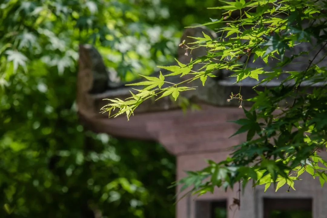 贵阳必去十大景点排行榜，这才是贵阳最值得去的10个景点，收好去玩