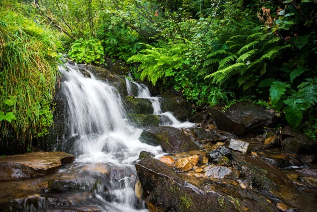 贵阳必去十大景点排行榜，这才是贵阳最值得去的10个景点，收好去玩