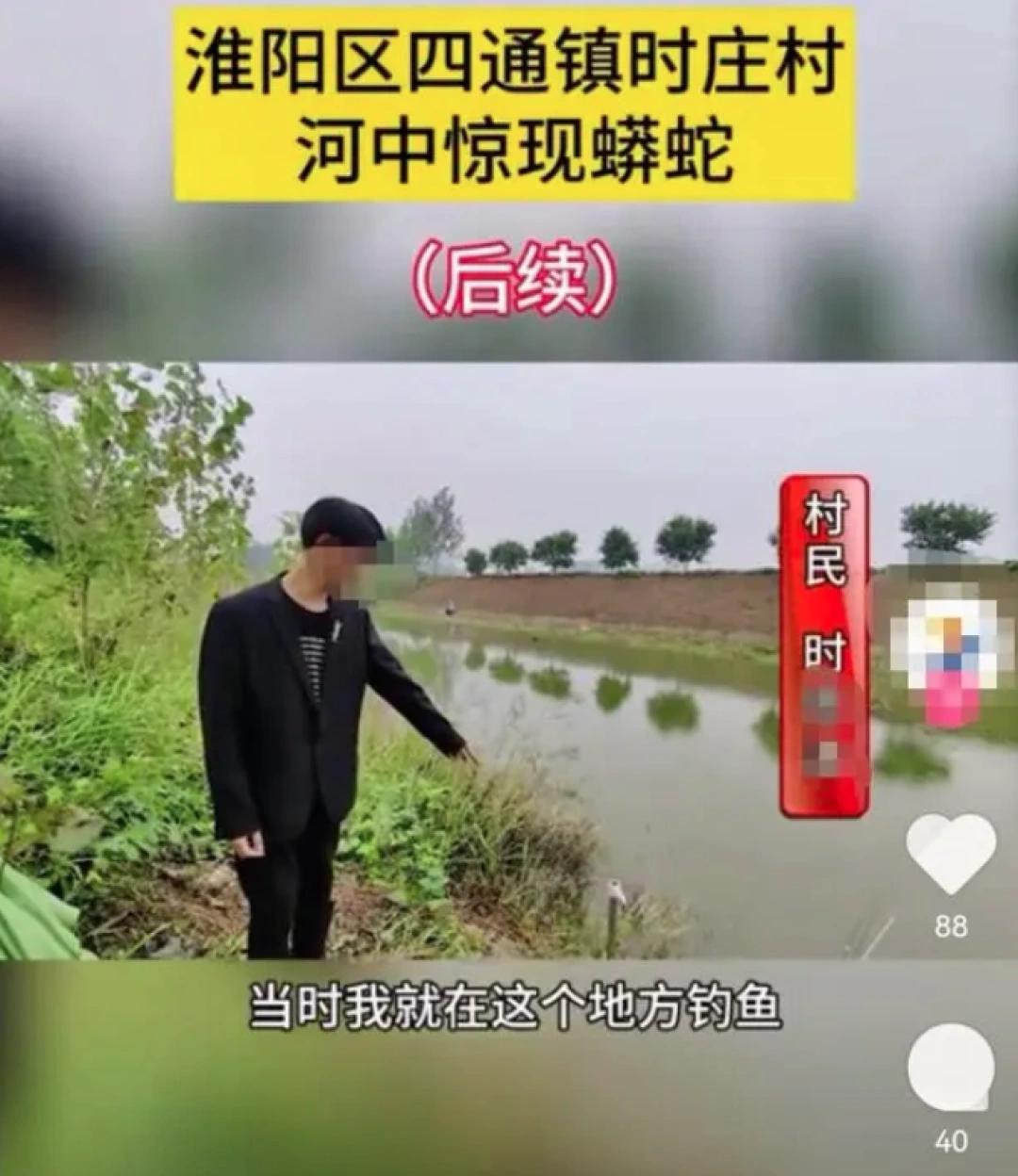 周口“三人成蟒”闹剧：少年一句谎言惊动多方捕蛇，千万网友围观直播