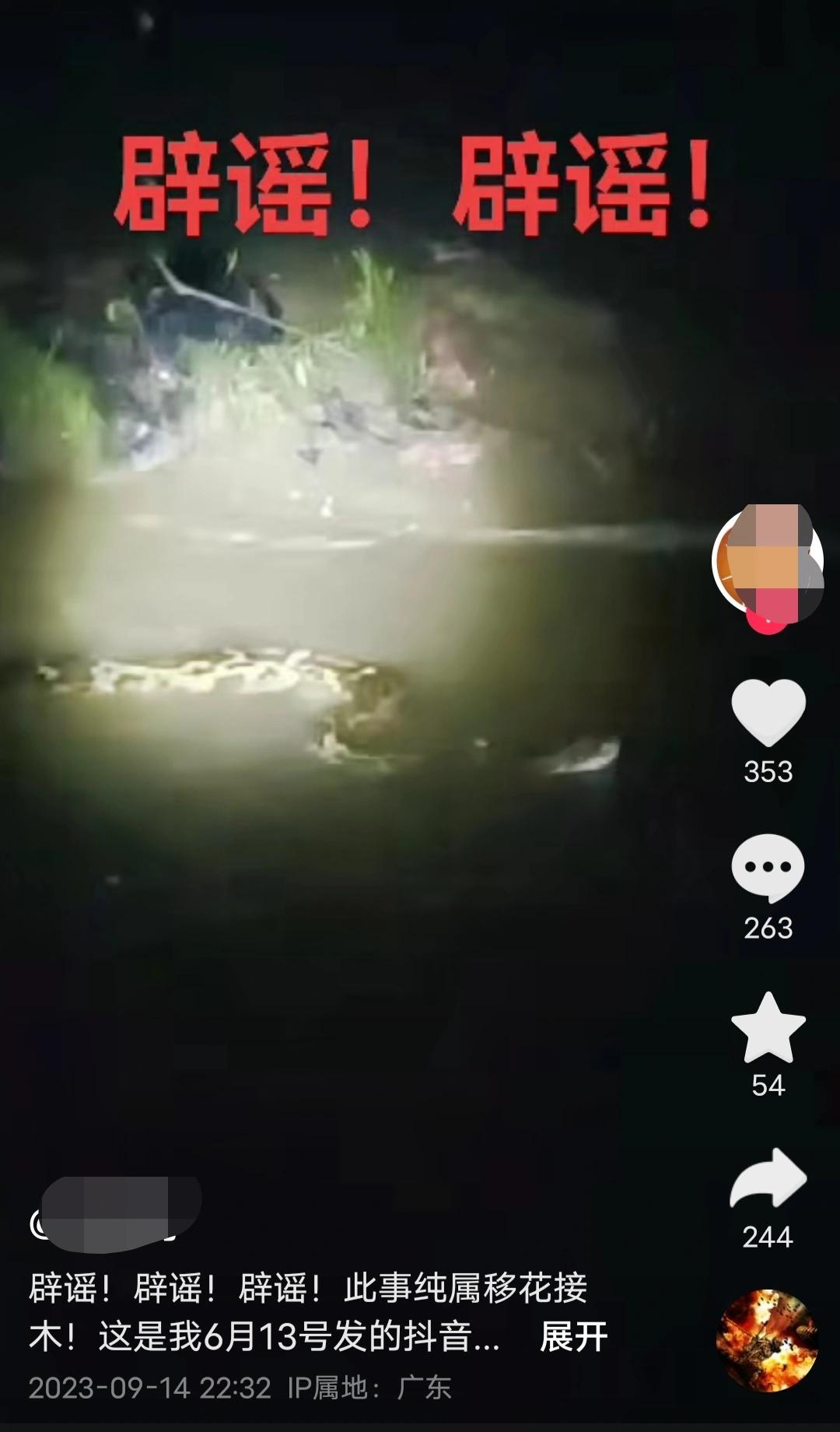 周口“三人成蟒”闹剧：少年一句谎言惊动多方捕蛇，千万网友围观直播