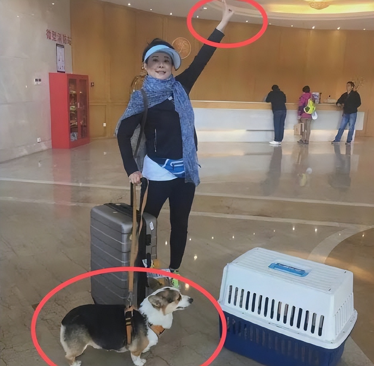 独宠袁立12年，分手后转身与张怡宁闪婚，徐威过得怎么样？