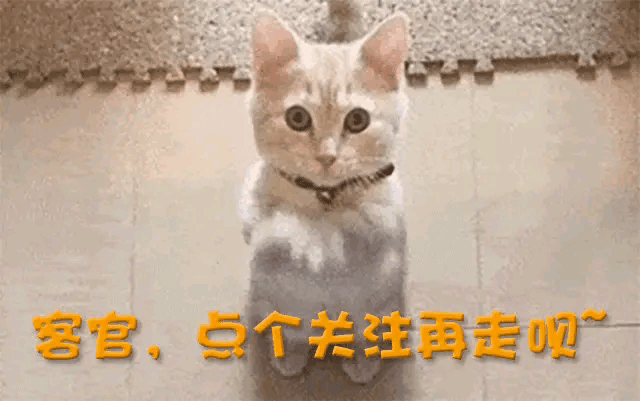 独宠袁立12年，分手后转身与张怡宁闪婚，徐威过得怎么样？