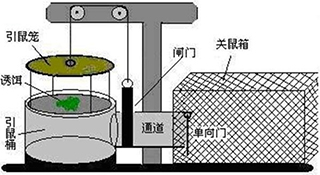 一种自动连续捕鼠装置