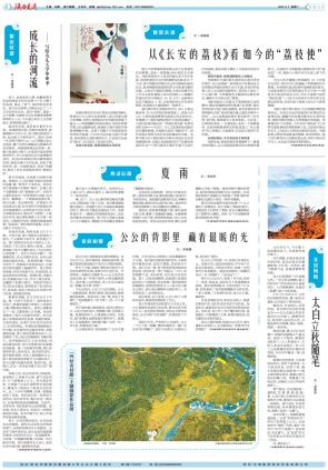 新闻汇 |《陕西交通》第2389期（2025年9月2日）