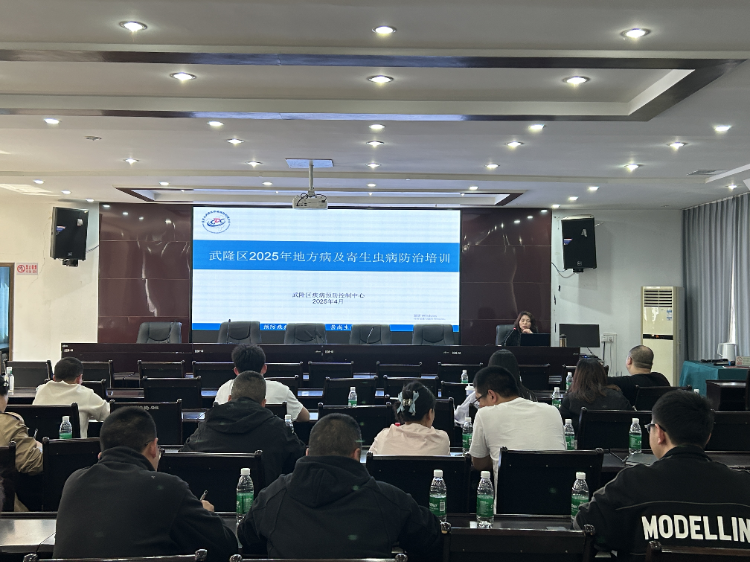 保障辖区居民健康，重庆市武隆区召开基本公共卫生服务疾控项目健康教育工作暨培训会