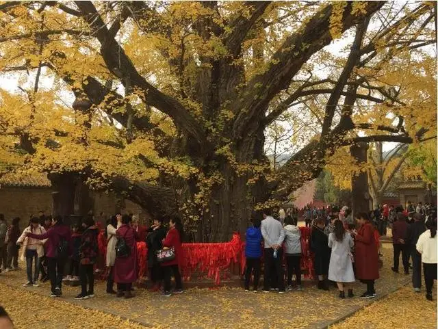 山东有一个三千年古县，名字只有一个字，但大多数人一开口就读错