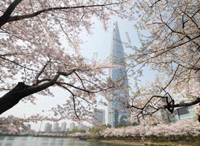 韩国要对中国团体游客免签？韩国学者这样说