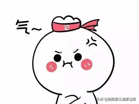 【百日攻坚】三湖派出所抓获一名盗窃犯罪嫌疑人被刑事拘留