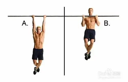 初学者如何锻炼臂力？