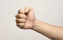 初学者如何锻炼臂力？