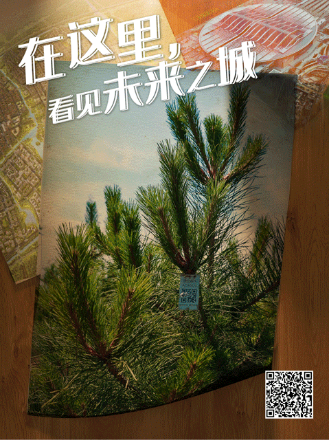 奋斗百年路 启航新征程｜雄安：未来之城呼之欲出
