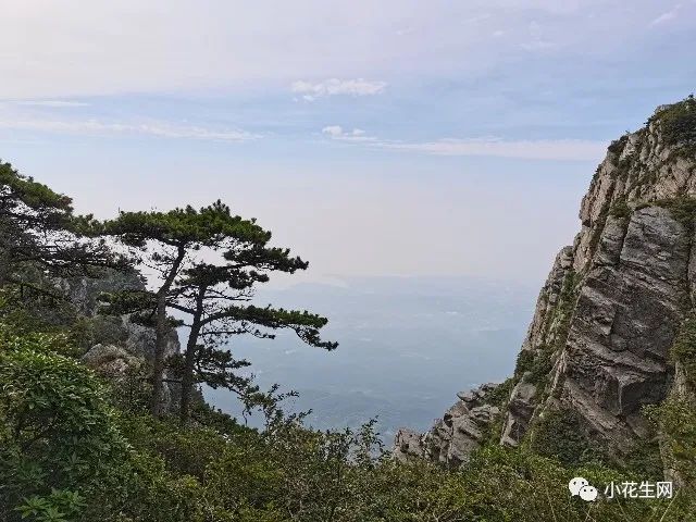 没上辅导班，五年级儿子成绩稳居前列，这12套教辅书很有用