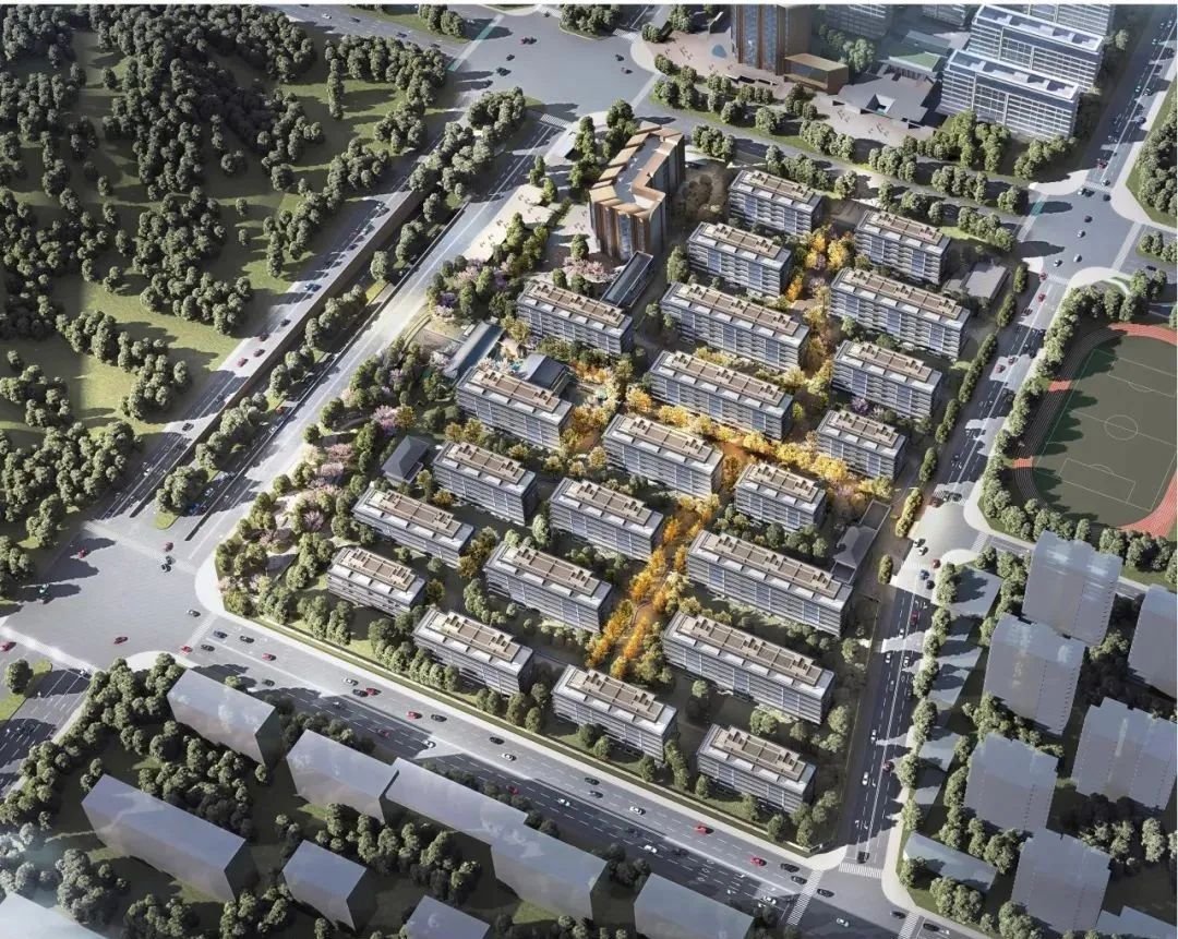 楼市新趋势!2025年合肥别墅迎来窗口期~