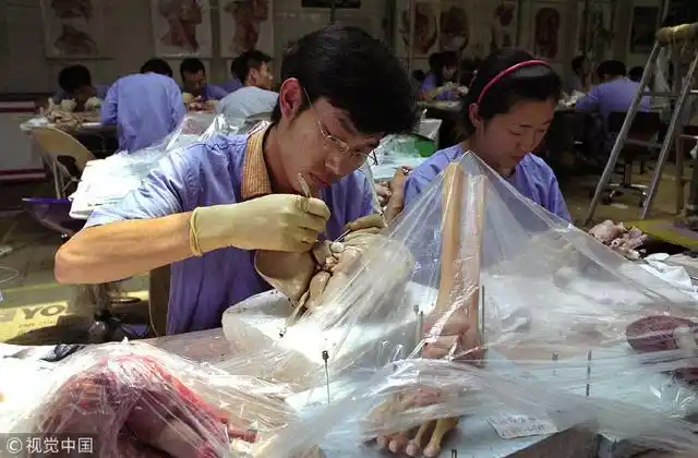 揭秘大连尸体加工厂 胆小勿进！