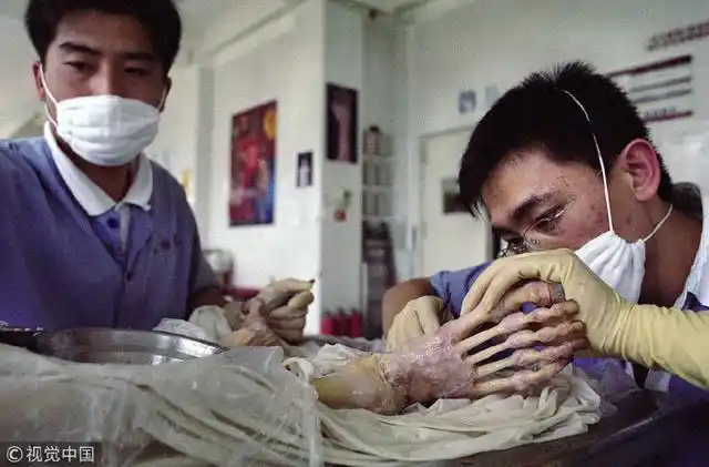 揭秘大连尸体加工厂 胆小勿进！