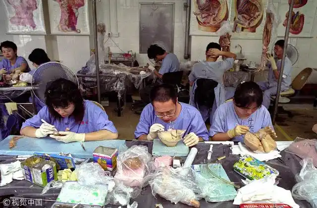 揭秘大连尸体加工厂 胆小勿进！
