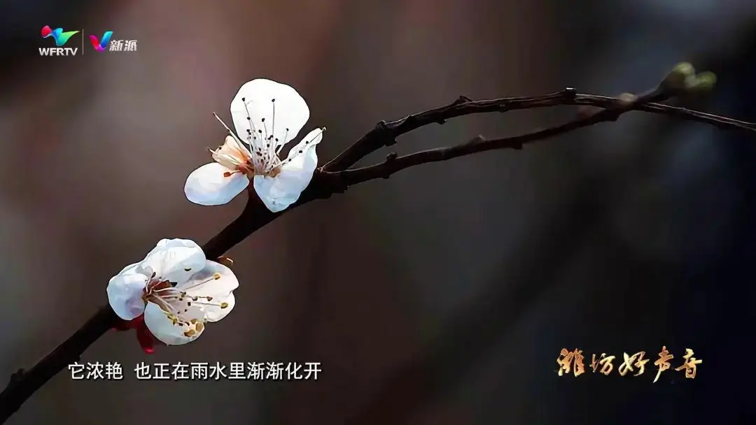 今晚我台推出融媒体栏目《潍坊好声音》第12期节目《潍坊名胜》