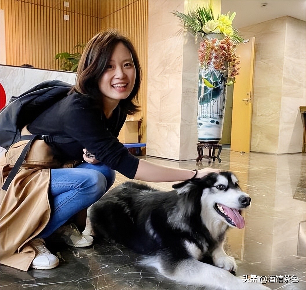 《最强大脑》7位选手现状：有人卖课，有人归隐，水哥最让人羡慕