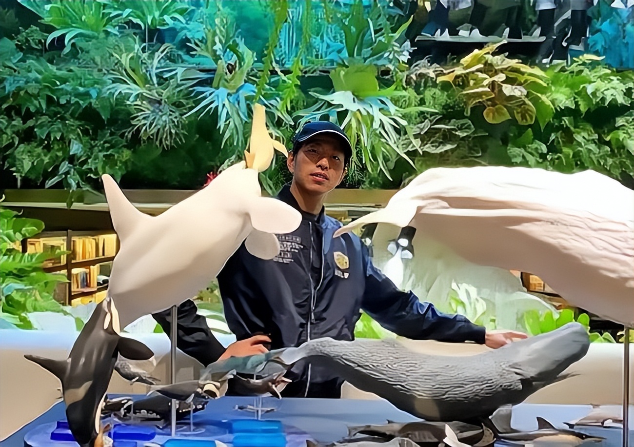 鬼才之眼王昱珩：清华毕业没上过一天班，退出最强大脑，后来怎样