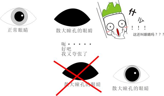 日本推荐效果好武田千寿老年人初期白内障眼药水 老年眼病滴眼液