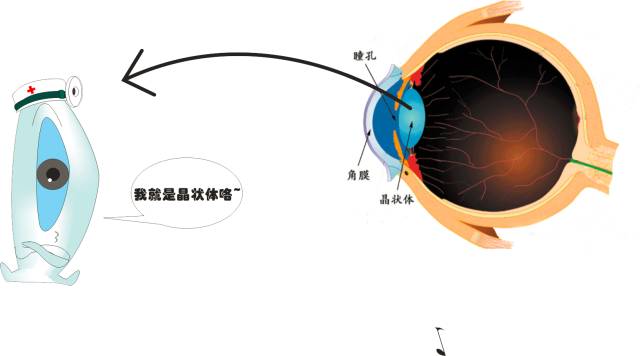 日本推荐效果好武田千寿老年人初期白内障眼药水 老年眼病滴眼液