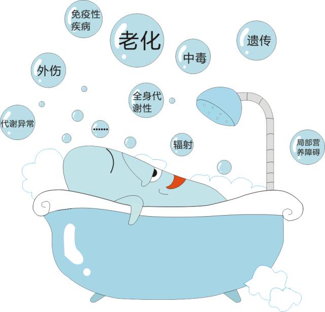日本推荐效果好武田千寿老年人初期白内障眼药水 老年眼病滴眼液