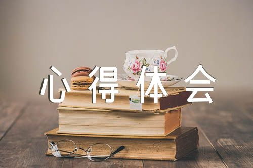 纪检干部教育整顿心得体会【四篇】