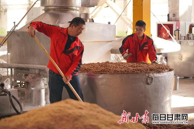 春潮涌动谱新篇 成县超奋进推进高质量发展走笔
