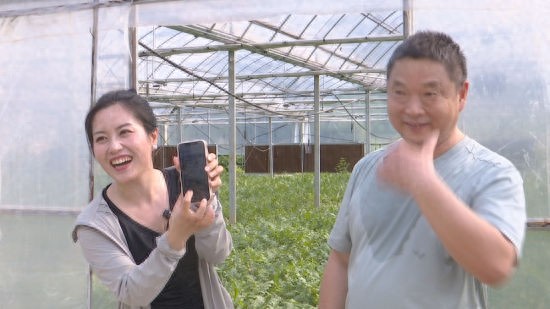 桐城市：助农直播进瓜棚