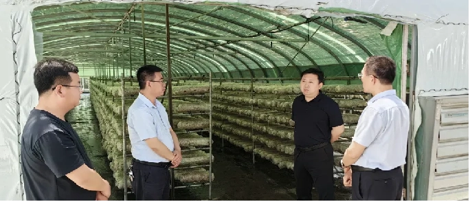 河南确山：产业兴方能带一方百姓富